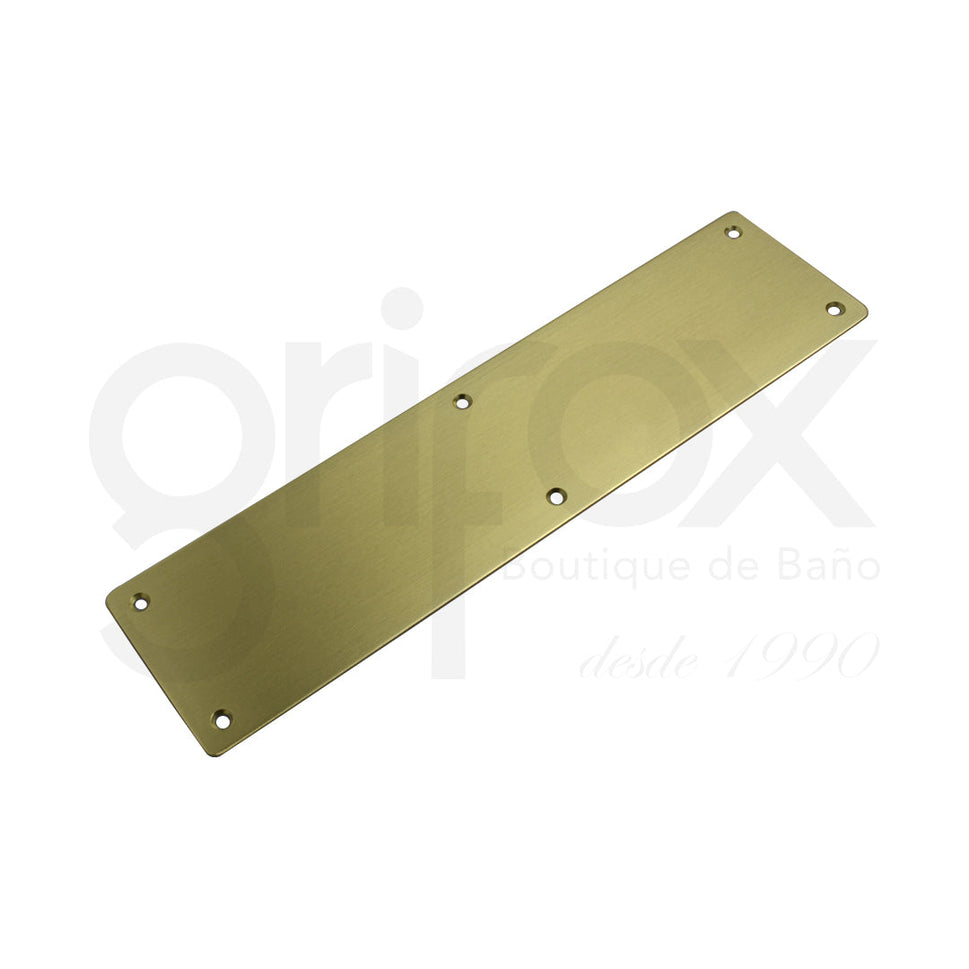 Placa Pusch 300X75Mm