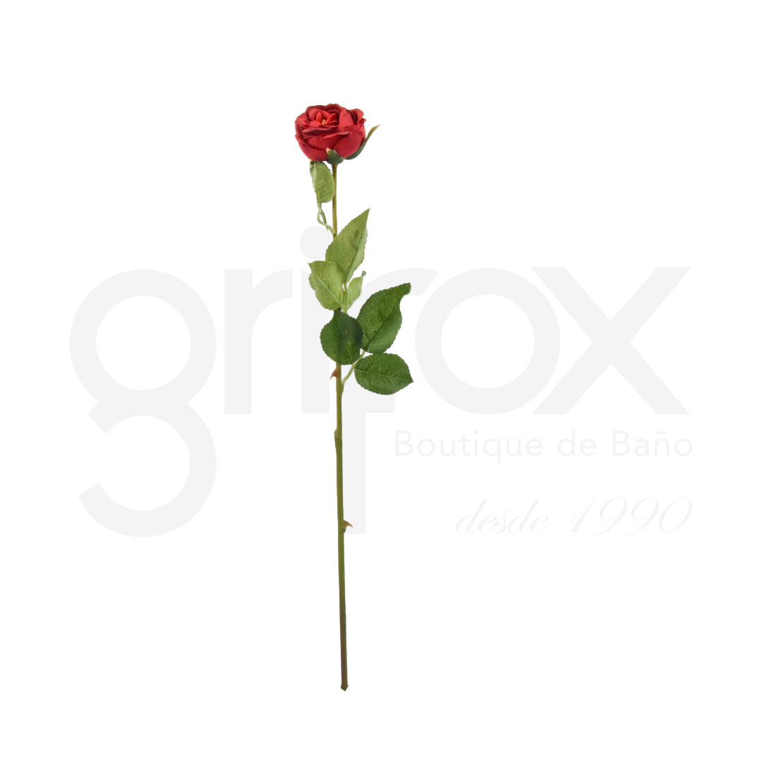 Rosa De 46Cm/ Flowers