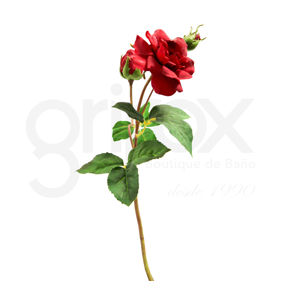 Rosa Roja  61Cm